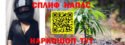 мдпв Аргун