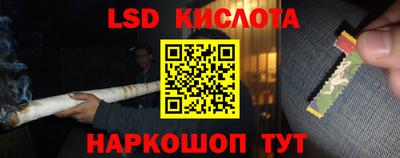 шишки Апшеронск