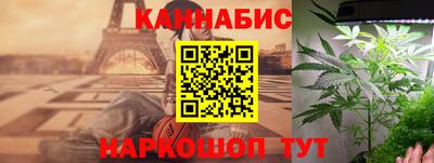 шишки Апшеронск
