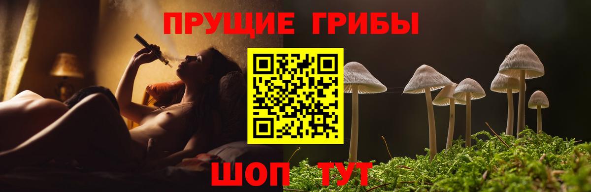 где найти наркотики  Галлюциногенные грибы Cubensis  Вход с VPN  Белореченск 
